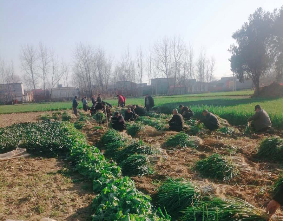 千赢国际(中国)官方网站