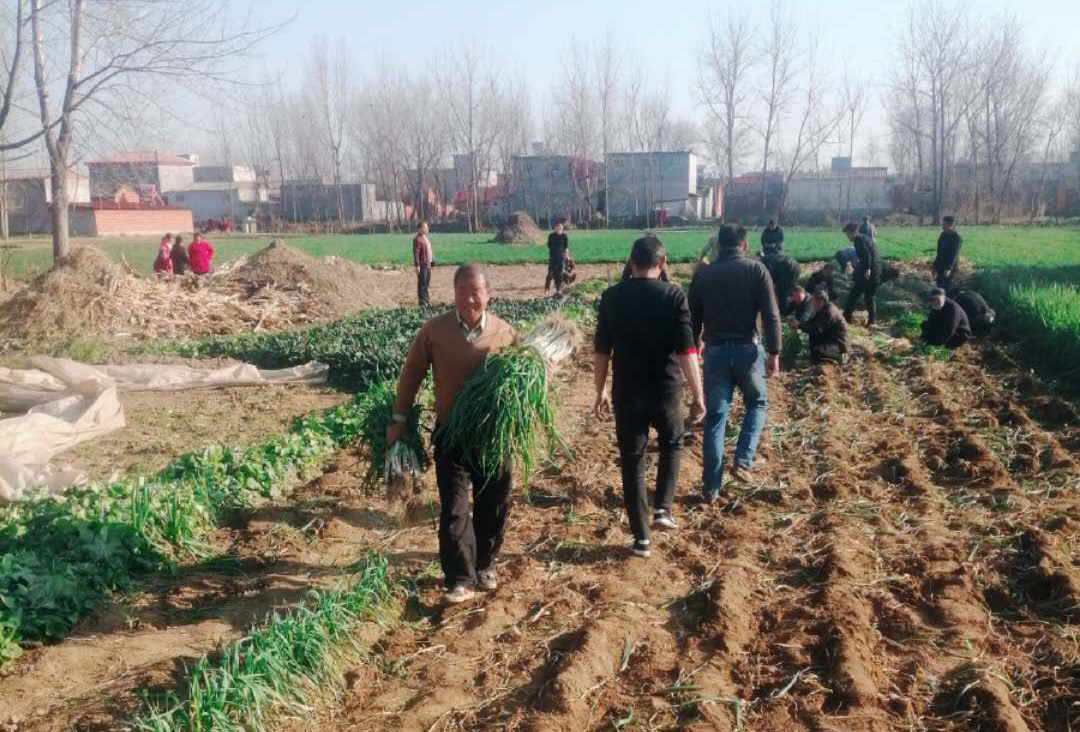 千赢国际(中国)官方网站